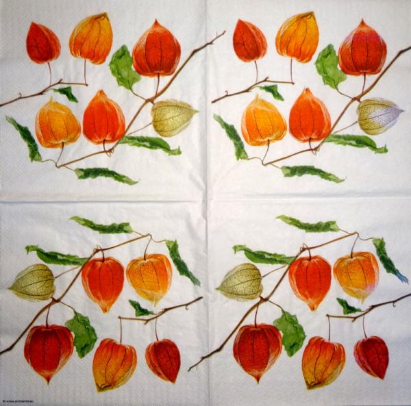 249 Autumn - 3-ply - Ambiente
